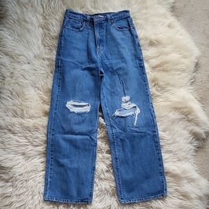 Levi Strauss Blue Denim Jeans